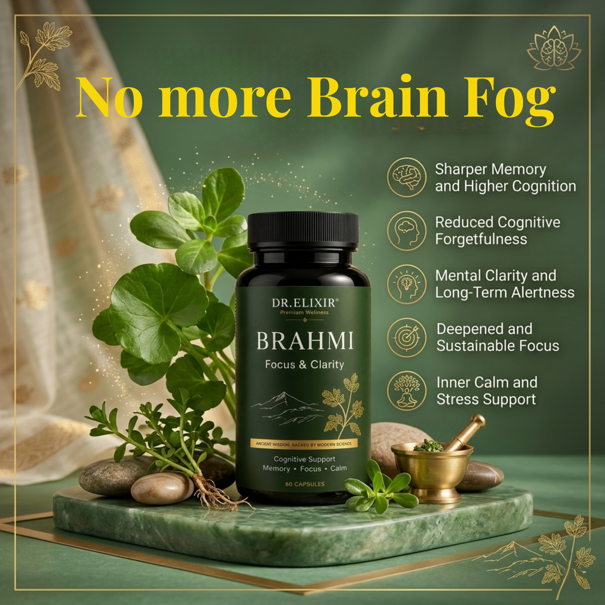 Pure Brahmi Extract – From Brain Fog to Clarity