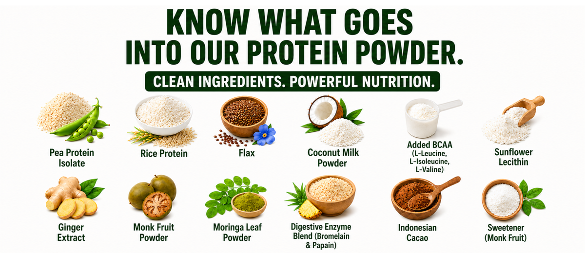 High Performance Plant Protein – Chocolate Fudge Ingredients